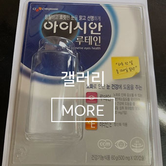 갤러리